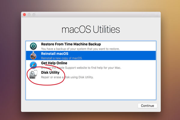 Installing new mac os failed corrupted hard drive download